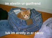 kittenpantzlp2.JPG