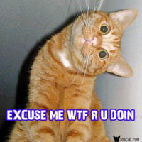 excuse.jpg