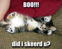 boo-did-i-skeerd-u.jpg