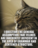 i%20question.jpg
