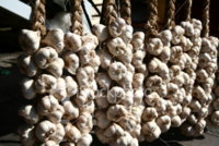 ist2_817083_hanging_garlic.jpg
