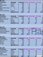diet sheet.JPG