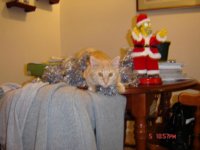 Holidays 2005 088.JPG