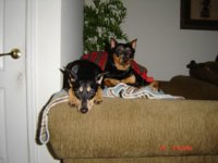 The Early Days 059.JPG
