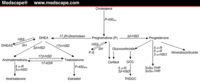 art-ajhp5722_01_fig1.gif