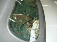 huhn41xj.jpg