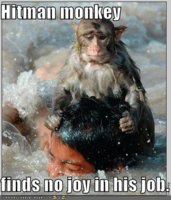funny-pictures-hitman-monkey-drowns-boy.jpg