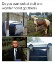 1470959377096.jpg
