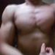 animal2010