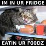 2die4