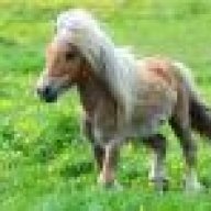 ponysteak
