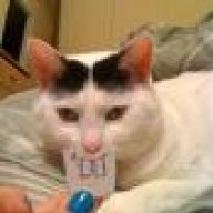 Mooserider