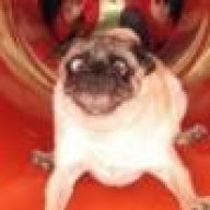 doos dronk