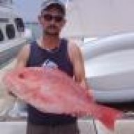 21yellowfin