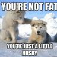 Husky70