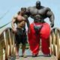 BigSwed