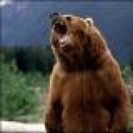 Grizzly_Mike