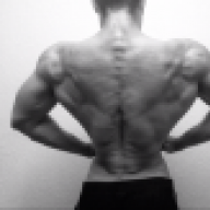 AdonisBelt