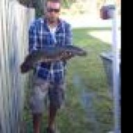 bowfisher