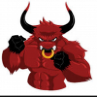 Bull24
