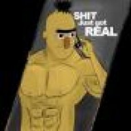 BertBolic
