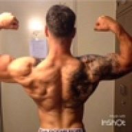 Briansuchanek