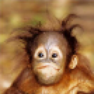 giggla