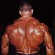 IRONHAVOC