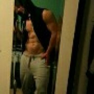 shadowgains