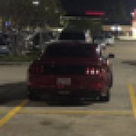 MustangMoss
