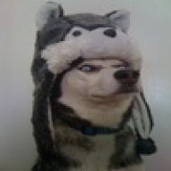 Spirit Waffle