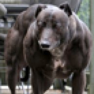 Anabolicgod12