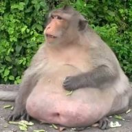 chunkymunkey