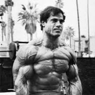 Silverback 1966