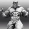 hulks