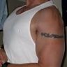 wolfmuscle