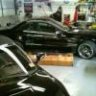 Mike_Waddell