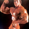 Old School Bodybui