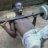 vosman