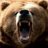 Califrniabear