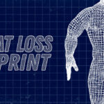 The Fat Loss Blueprint